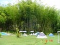 /album/centro-campestre-el-diamante/n733277917-959619-8072-jpg/