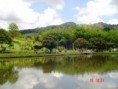 /album/centro-campestre-el-diamante/n733277917-959621-8612-jpg/